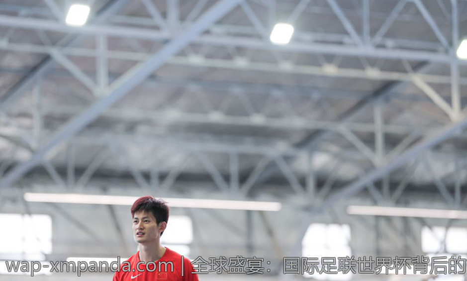 欧洲杯数据分析与观赛指南