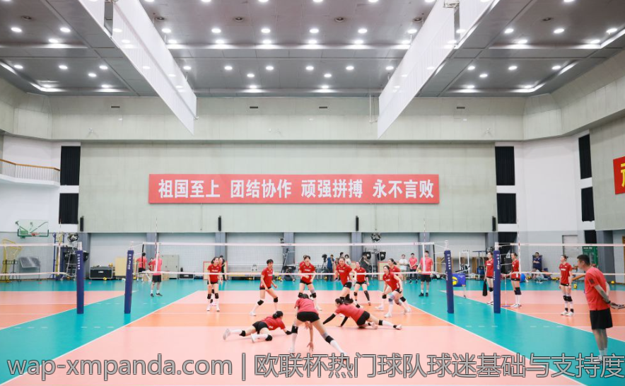 欧联杯热门球队球迷基础与支持度