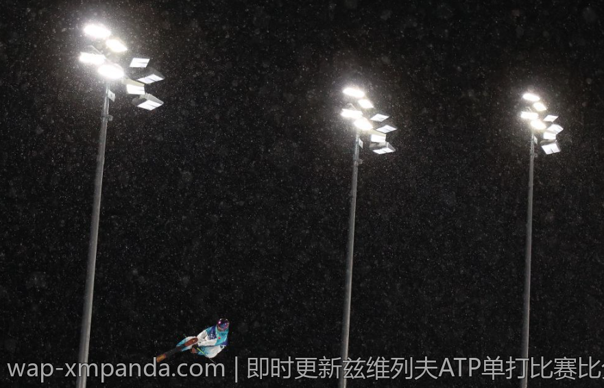 即时更新兹维列夫ATP单打比赛比分信息