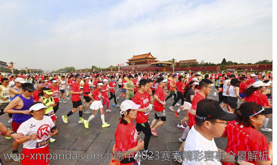 德甲2023赛季精彩赛事全景解析