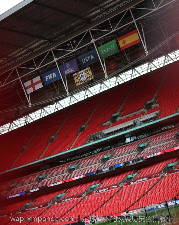 足球世界的发展历史全景解析